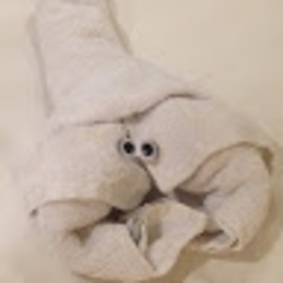 Meet your Posher, Lczarra - Picture 1 of 1